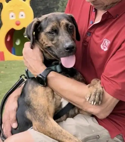 Happy dog being adopted at FOACAS