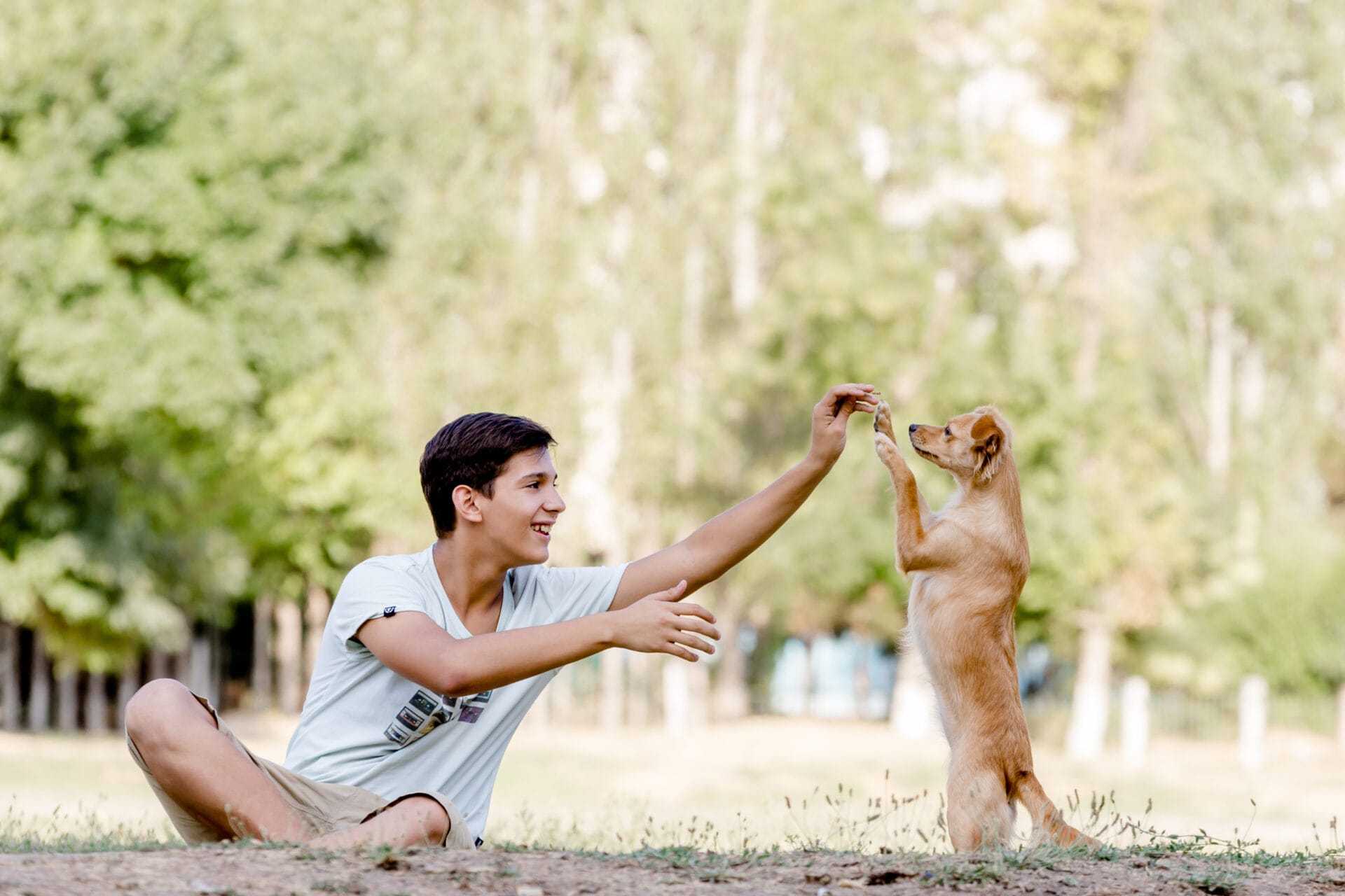 Smiling teen teaching a small rescue dog to stand on its hind legs during a training session in a park.