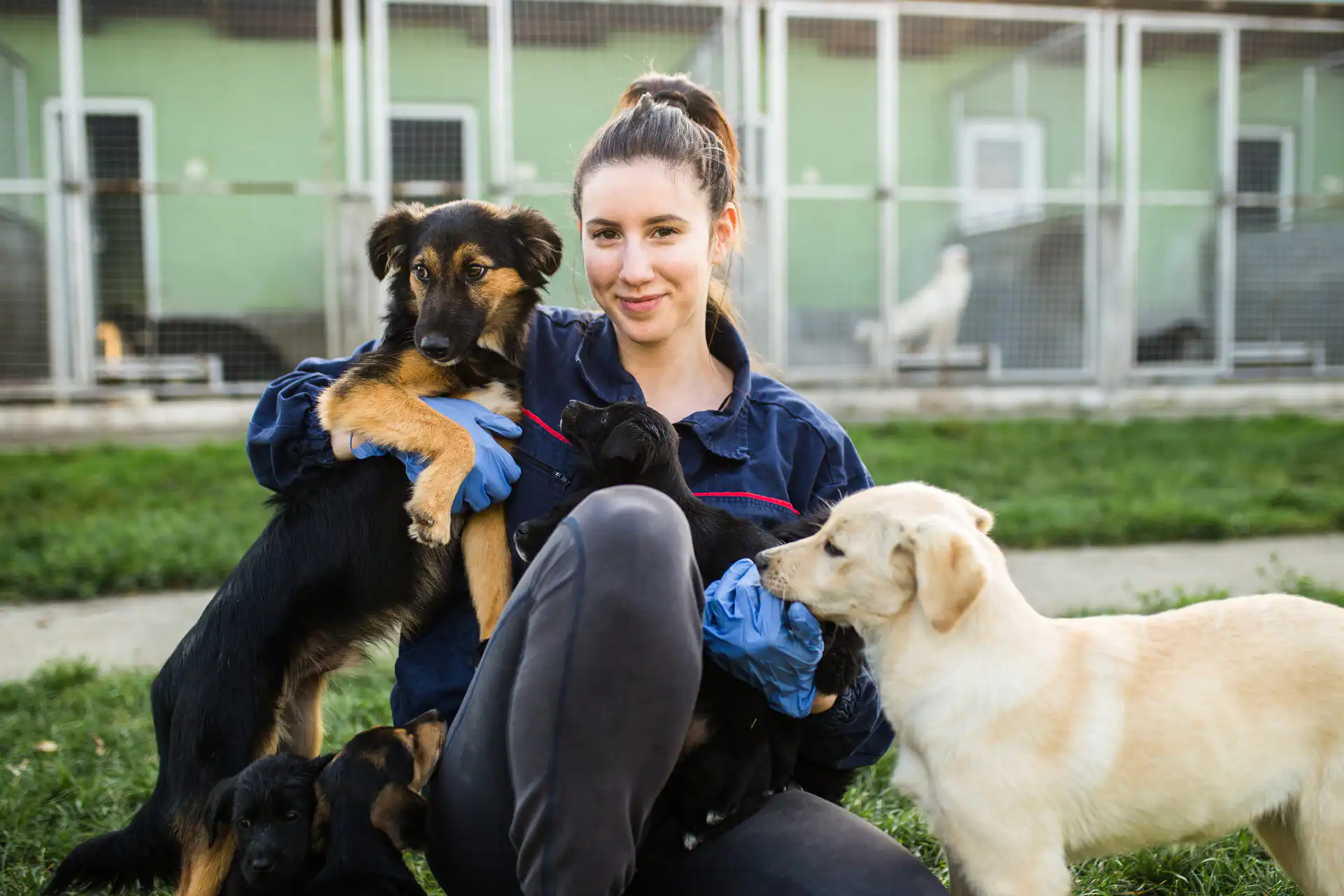 Volunteer sitting with multiple rescued dogs at a local rescue facility representing community support and local animal rescue donations