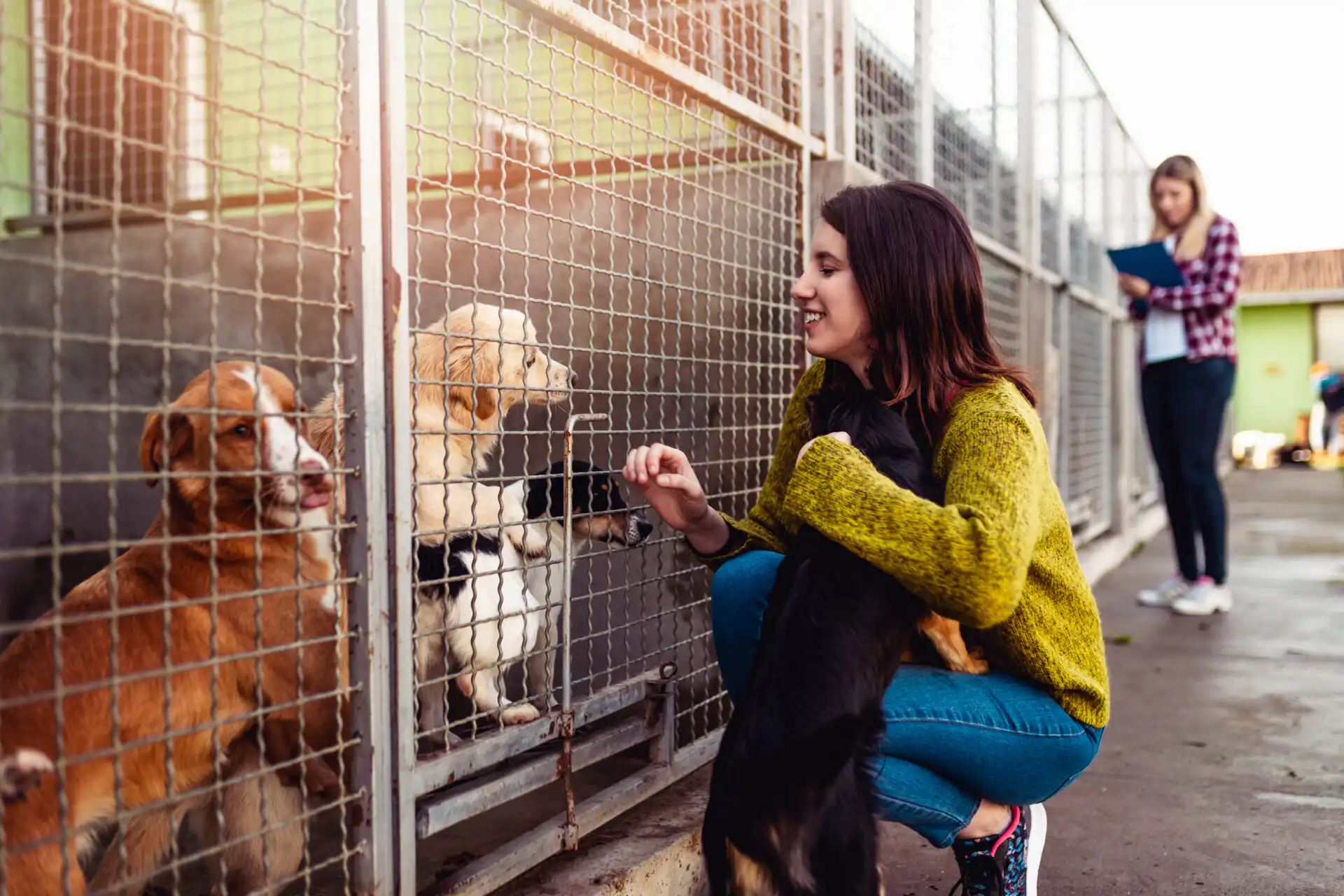 Woman kneeling outside a kennel interacting with dogs behind a metal shelter fence while another staff member takes notes in the background
