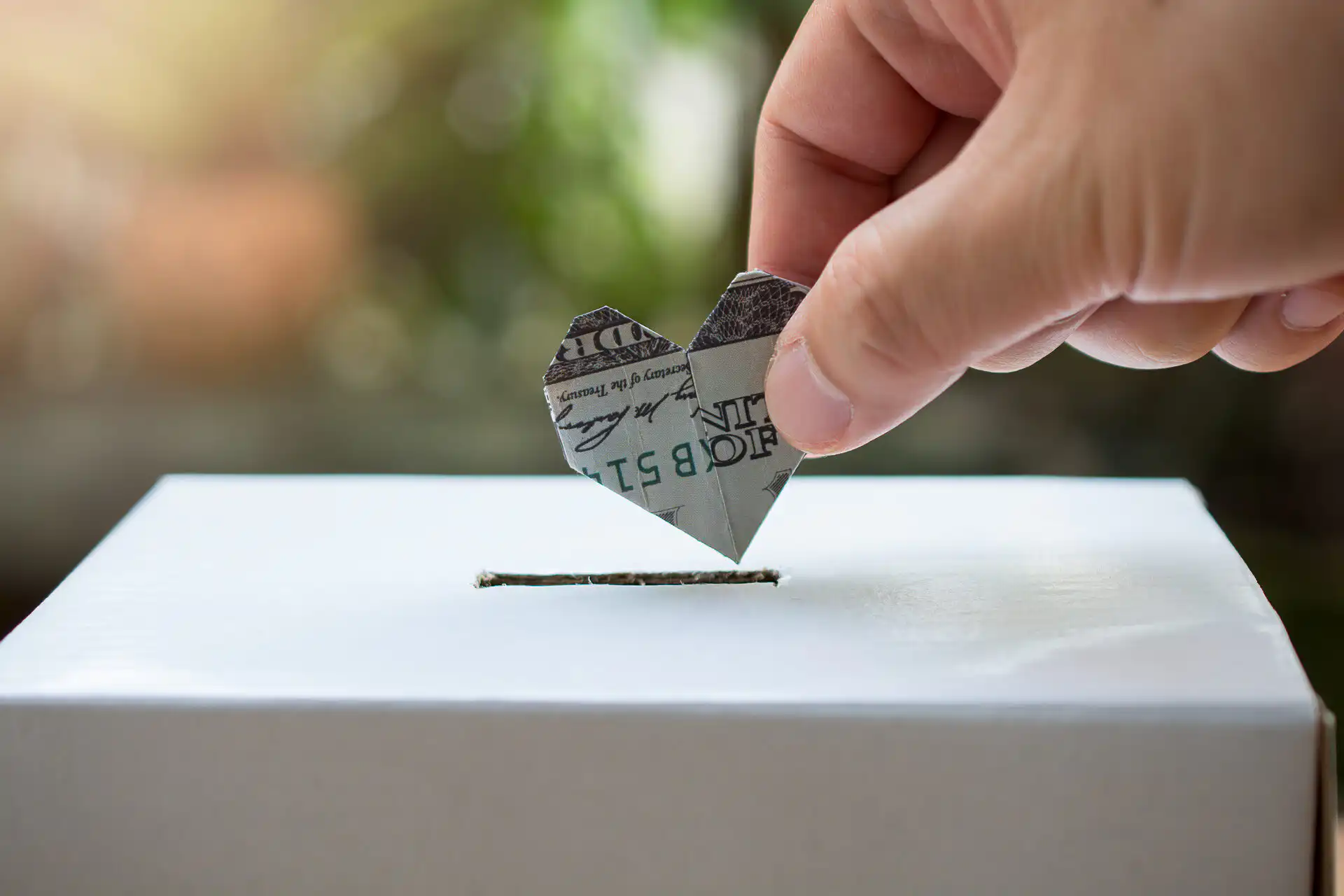 Alt Text: Hand placing a folded dollar bill into a donation box to support animal rescue care and shelter needs.
